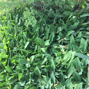 Meet your Posher, Tina